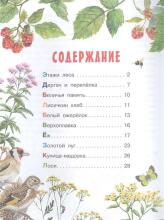 Tales of nature