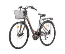 Sieviešu velosipēds RAILWAY LADY 18v 28, Brūns