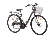 Sieviešu velosipēds RAILWAY LADY 18v 28, Brūns