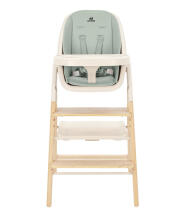 Baby high chair Carrello ERGO CRL-16701 Elora Green