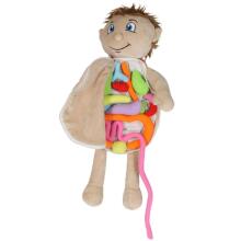 Bebe Basic Doll Boy Art.KX2954 Maskot lelle, kas mācās anatomiju