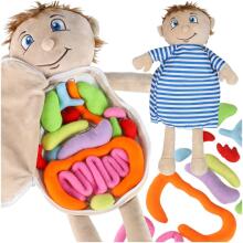 Bebe Basic Doll Boy Art.KX2954 Maskot lelle, kas mācās anatomiju