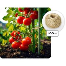 Dārza tunelis siltumnīca 3 x 2 m (6m2) Plonos