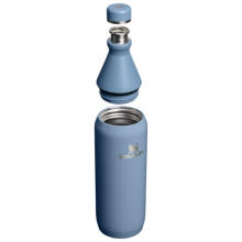 Termopudele The All Day Slim Bottle 0,59L glancēta zilganvioleta 