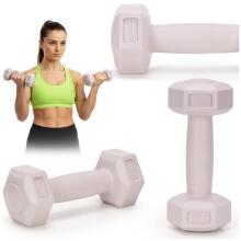 Dumbbells 2 x 0.5 kg ACT0155
