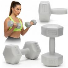 Dumbbells 2 x 4 kg ACT0162