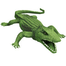 Rep Pals, Crocodile