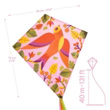Games of skill - Kite - Birdy