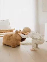 Wild&Soft Soft Bouncy Art.287135 Capybara Children's jumpers