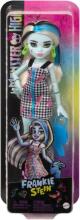 Monster High Frankie Stein Doll – Fully Articulated with Fashion Accessories (11 Points of Movement)