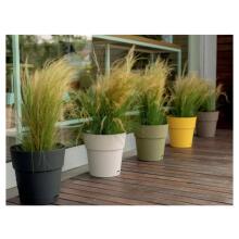 Puķu pods ar paliktni Ethica &Oslash;40x39cm balts 