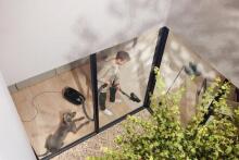 Miele Guard M1 Cat&Dog Black Art.290088  vacuum cleaner