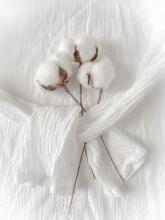Bebe Basic Muslin Art. 076 Хлопковая муслиновая марлевая пелёнка 1 шт., 80x80 см