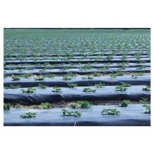 Компостируемая садовая пленка BioAgri Garden 1,2x7 м для растений 1&ndash;3 лет, 35 кв.м., черная.