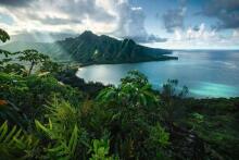 Ravensburger puzle 5000 gabali Hawai