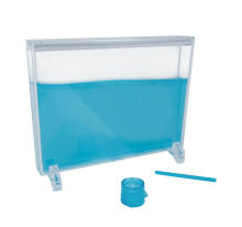 Buki Ants Mini-Pasaule
