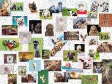 Ravensburger puzle 1500 gabali Jautrie dzīvnieki kolāža