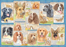 Ravensburger puzle 1000 gabali Obedient Dogs