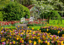 Ravensburger puzle 1000 gabali: Keukenhof dārzi