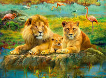 Ravensburger puzle 500 gabali Lauvas savannā 
