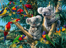 Ravensburger puzle 500 gab. Koalas uz koka