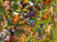 Ravensburger puzle 200 gab. Tropu mežs