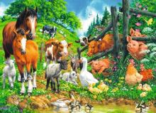 Ravensburger puzle 100 gab. Dzīvnieku kopā sanākšana
