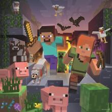 Ravenburgeri puzle 3x49 gabali Minecraft