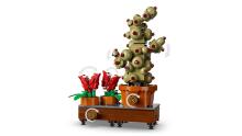 LEGO Harijs Poters Hogwarts Herboloģijas Augi