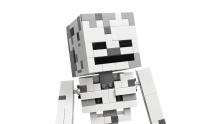 LEGO Minecraft Skelets