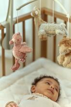 Деревянная музыкальная карусель Little Dutch Safari Friends FSC Art.8300