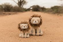 Little Dutch Cuddle Lion 25 cm Safari Friends GRS Art.8360