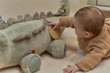 Little Dutch Activity Cuddle Crocodile XL Safari Friends 100 cm GRS Art.8324
