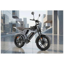 Elektriskais velosipēds APE RYDER Genon Ultra Grey