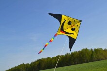 I-Toys Kite Art.A-3094 Воздушный змей