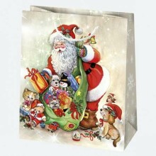 Toi Toys Christmas Gift Bag Art.T4GW48 Подарочный мешочек