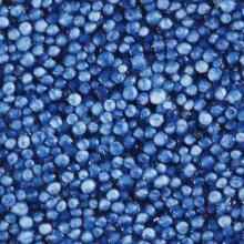 Foam Clay Art.78922 Blue