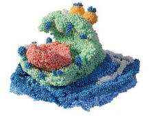 Play Foam Art.78060 Комплект шариковой массы для лепки 6 шт.