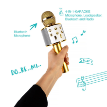 Baby Microfone Art.WS-858 Gold