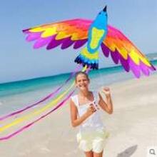Djeco Birds Art.DJ02153