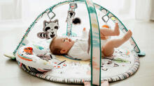 Lionelo Paula Plus Art.83147