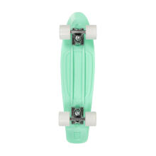 Playlife Penny Board Art.880319 Mint  Роликовая доска (Скейтборд)