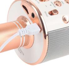 TLC Baby Microfone Art.WS-858