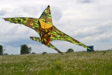 Hall Air Kite  Art.94344 Воздушный змей с леской
