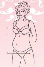 Bogema Lingerie Art.29685 Rose&Butterfly  Briefs
