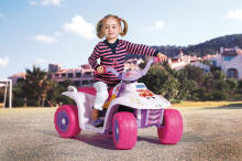 Doesnt work detail. Peg Perego Art.ED1150 Winx Quard