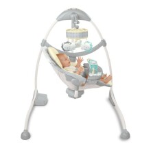  Cradle and Sway Swing, 6987