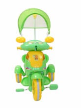 ELG Scooter Art.43680 Green  интерактивный детский трехколесный велосипед с навесом