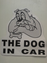 The dog in car Art.47669  Наклейка для автомобиля