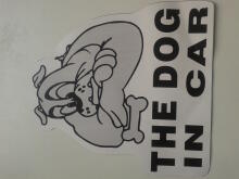 The dog in car Art.47669  Наклейка для автомобиля